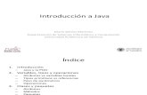 Introduccion a Java.pdf