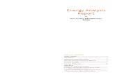 Newberg Energy Analysis Report