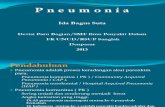 Pneumonia Fkw 13