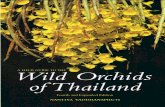 Wild Orchids of Thailand