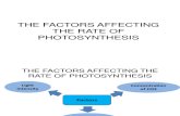 The Factors Affecting the Rate of Photosynthesis