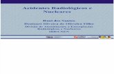 A-04 - Acidentes Radiologicos e Nucleares - 2009