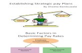 Establishing Strategy Pay Plans