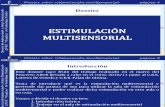 Dossier Estimulacion Multisensorial
