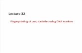 Fingerprinting of crop varieties using DNA markers