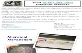 Microbial Metabolism Microbiology Lecture PowerPoint VMC
