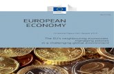 The EU's neighbouring economies: managing policies in a challenging global environment