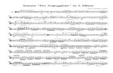 Sonata Arpeggione (Viola)