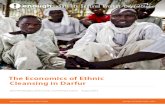 Economics of Ethnic Cleansing in Darfur Report