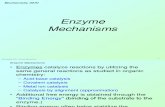 Enzyme Mechanisms 1