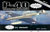 D&S 61 - P-40 Warhawk v1