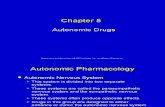 5 Autonomic Drugs (1)