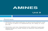 CHY2023 Unit 9 - Amines