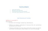 Principles and physics of sound