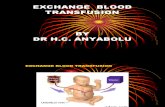 Exchange Blood Transfusion