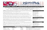 072813 Reading Fightins Game Notes