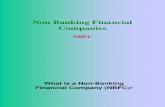 Non Banking Financial Companies-TSM