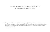 CELL STRUCTURE & CELL