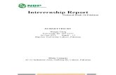 Final Intership Report NBP