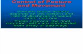 2668554 Control of Posture and Movement