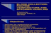01 Blood Collection