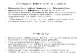 Gregor Mendel’s Laws