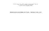 Managementul Riscului (C.opran)