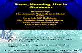 Form, Meaning, Use in Grammar