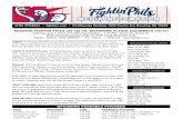 070113 Reading Fightins Game Notes