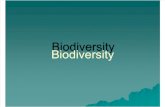 22.3 Biodiversity 2012