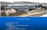 Produccion Leche Agroindustrial