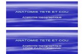 Anatomie Tete Et Cou - Toppographique