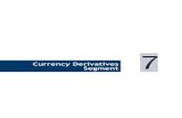 Currency Derivatives 2010