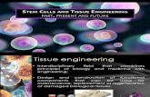 Stem Cells and TE