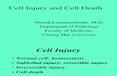 Cell1 Injury Ppt