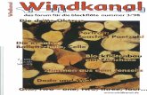 Windkanal 1998-3