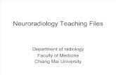 Brain-Neuroradiology Teaching Files