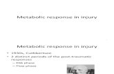 Metabolic Response in Injury
