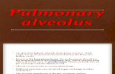 Pulmonary Alveolus - Copy