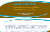 Nephritis- urinary system disease