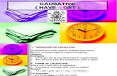Presenting Causative