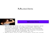 An Introduction to Human Biology (Muscles)