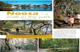 Noosa - A Walk in the Park