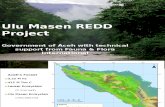 Aceh and FFI Ulu Masen Presentation (May 20 2010)