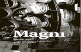 Magni Guidebook Sample