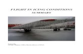 Flight in Icing Condition