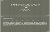 Sem-3 physiology of pain