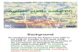 1271937517 Howard, Aquatic Plants and IPPC