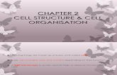 Chapter 2 - Cell Structure and Cell Organization