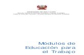 Modulos EPT - Publicacion.pdf